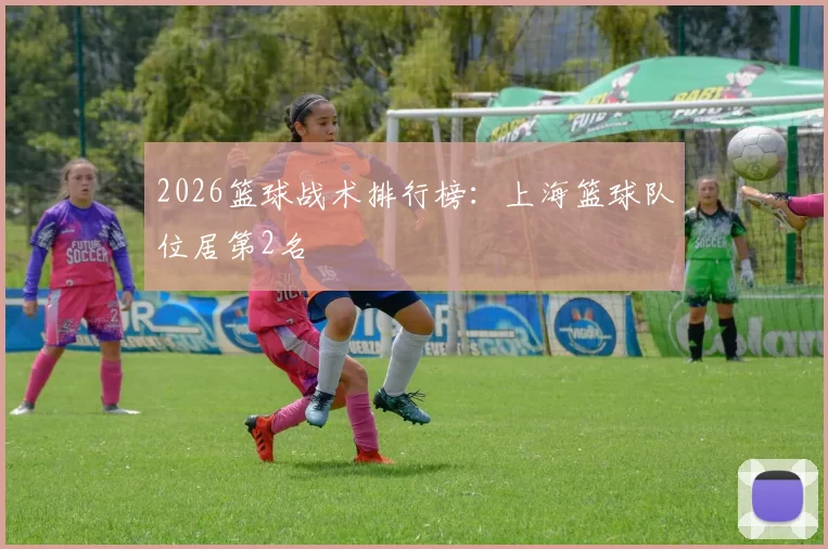 2026篮球战术排行榜：上海篮球队位居第2名