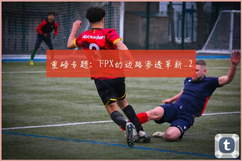 重磅专题：FPX的边路渗透革新_2